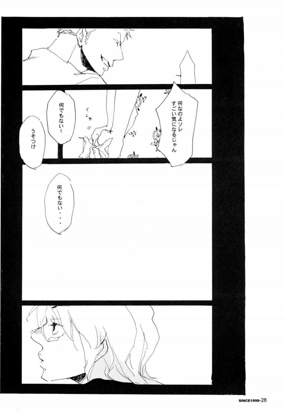 [Aozora Gundan (Hideyoshico)] SINCE 1999 (One Piece) - Page 27