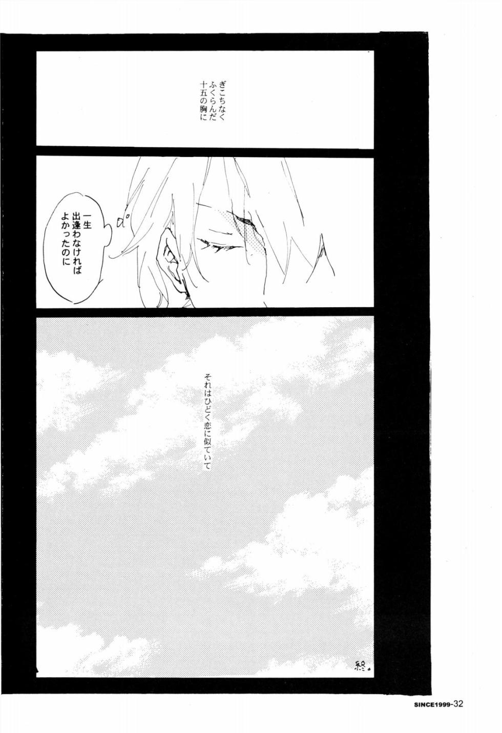 [Aozora Gundan (Hideyoshico)] SINCE 1999 (One Piece) - Page 31