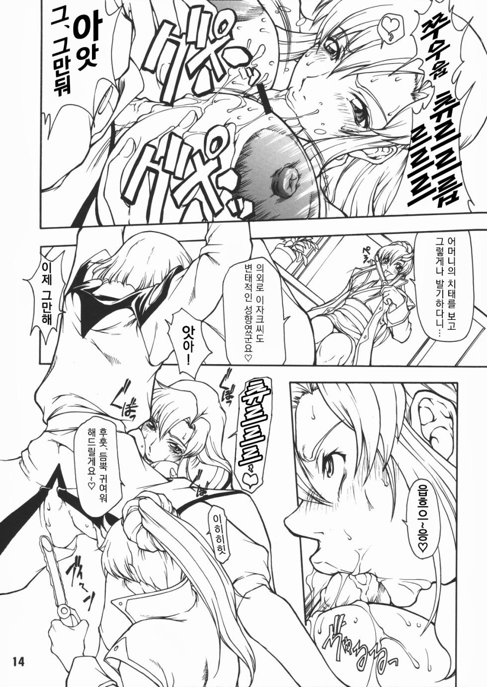 (C66) [Majimadou (Matou)] Dead Reckoning (Gundam SEED) [Korean] - Page 13