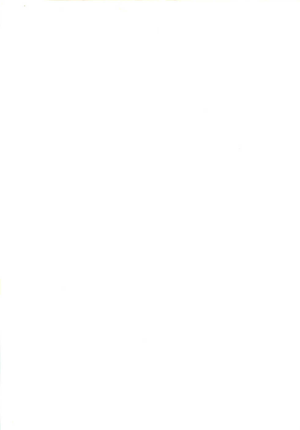 [Tokaidow Micty] Konya wa Dorei DE Night - Page 3