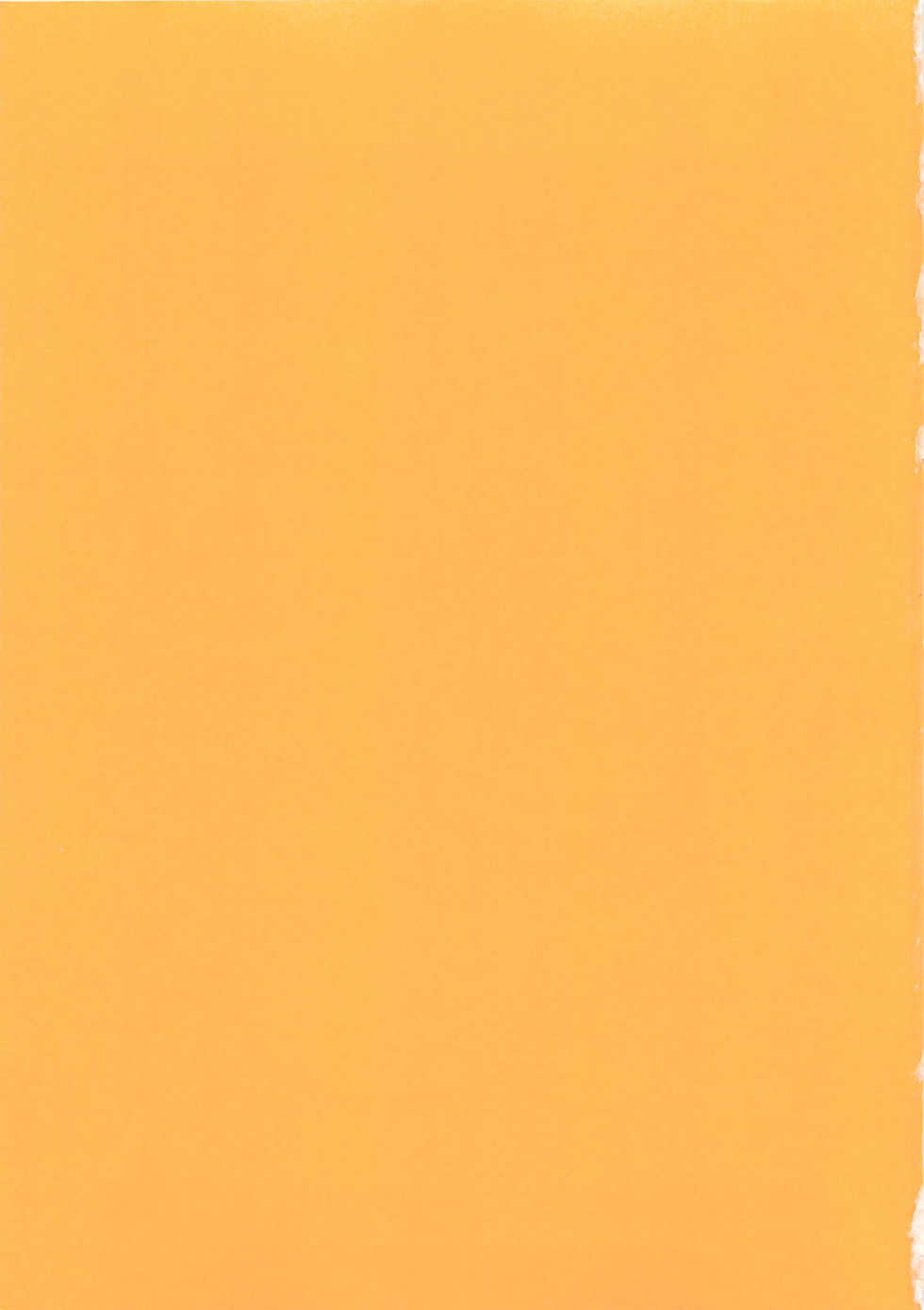 [Tokaidow Micty] Konya wa Dorei DE Night - Page 4