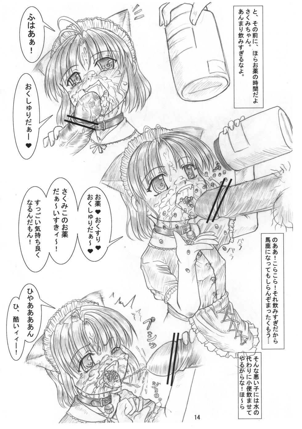 [Nekoneko Panchu!] Sakumi no Kakuchou Yuugi Joukan Volume 1 - Page 15