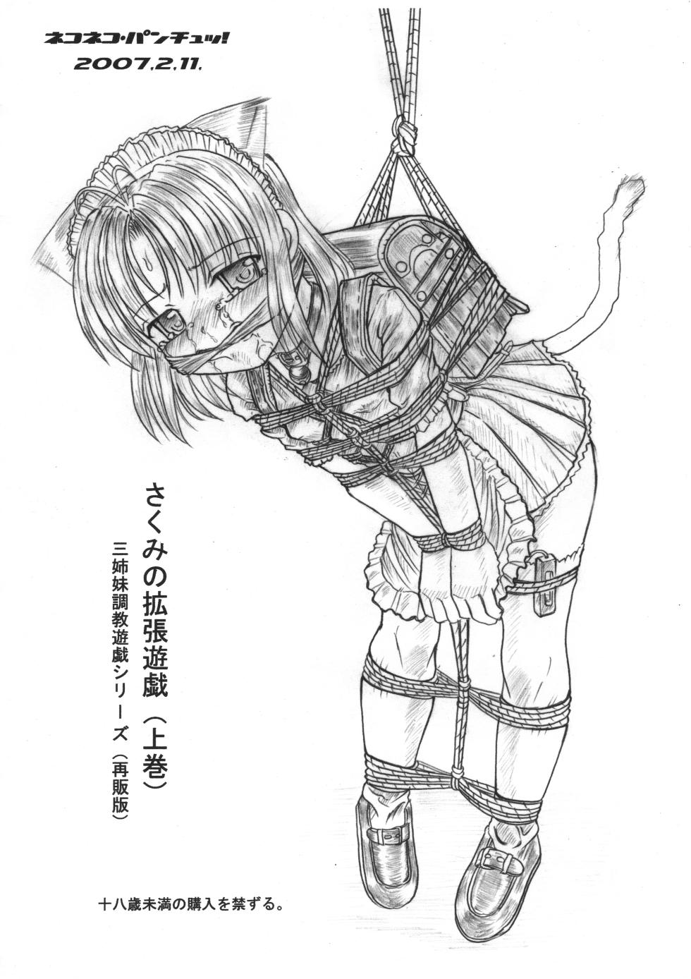 [Nekoneko Panchu!] Sakumi no Kakuchou Yuugi Joukan Volume 1 - Page 28