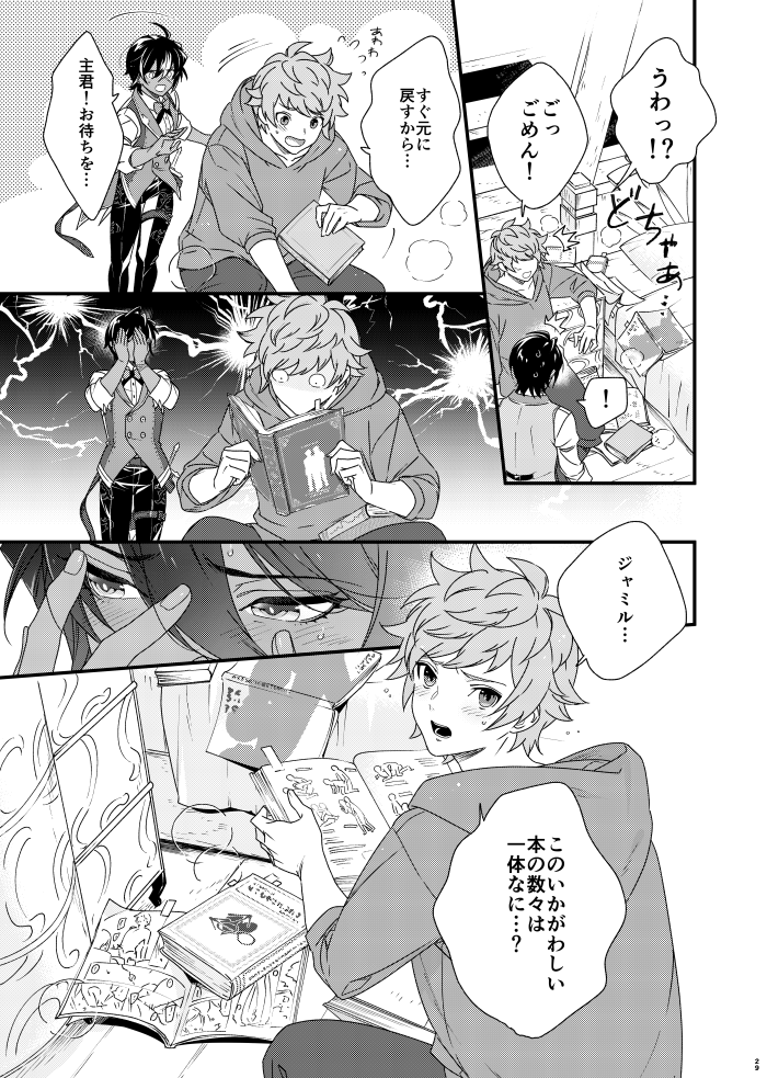 [Harinezumibu (Mako)] Asamade issho ni nemuritai (Granblue Fantasy) [Digital] - Page 29