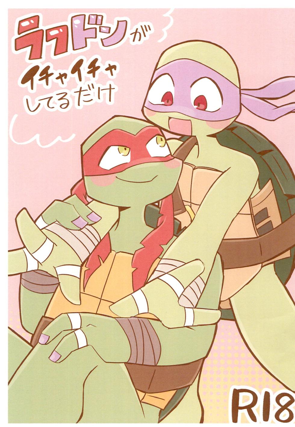 (SUPER31) [Kalbo] RaphDon ga Icha-icha shiteru dake (Teenage Mutant Ninja Turtles) - Page 1