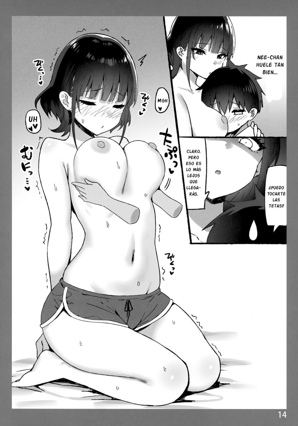(COMIC1☆22) [Candy Club (Sky)] Onee-chan to Torokeru Kimochi SP 2  | The Melting Feeling with Onee-chan SP [Spanish] [Ayanokoji_Blog] - Page 14