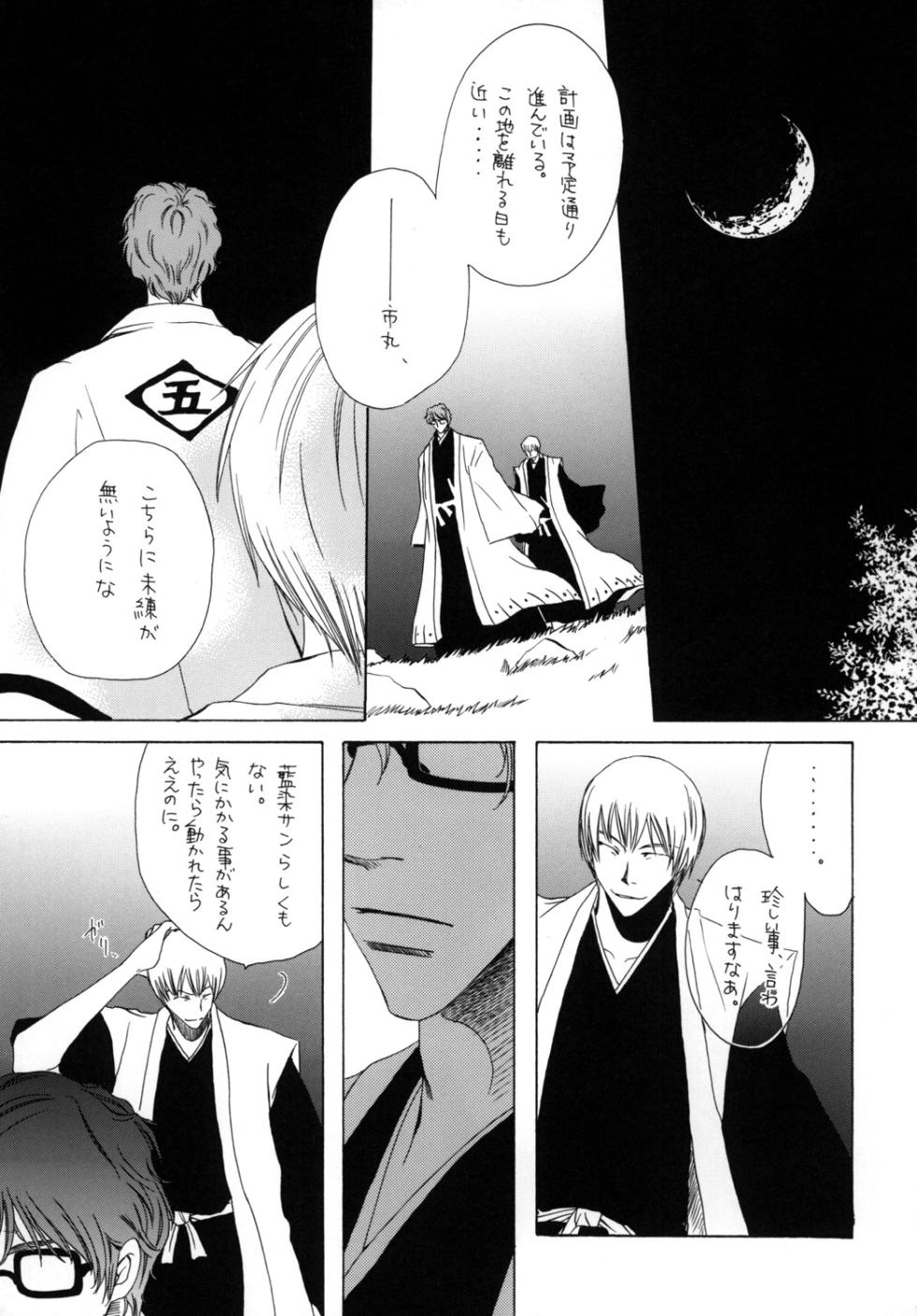 [EVE-SYA (Tanaka Rin)] AISIRO Soushuuhen I ~The god of death to run after~ (Bleach) [Digital] - Page 13