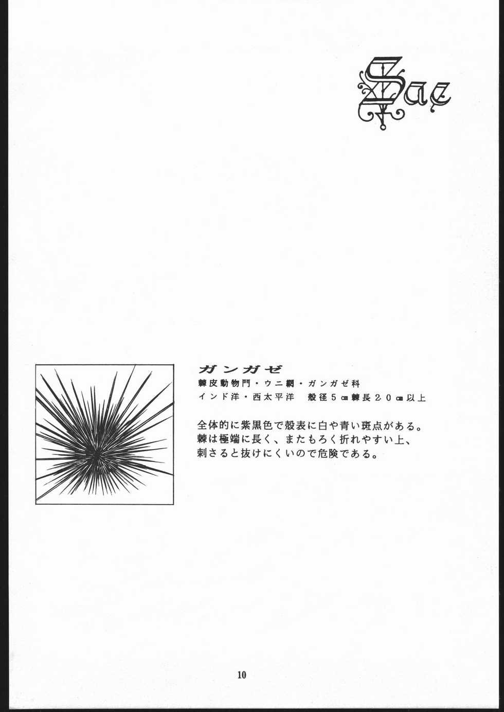 (C48) [Sae (Various)] Sae Superdry II (Cat's Eye) - Page 11