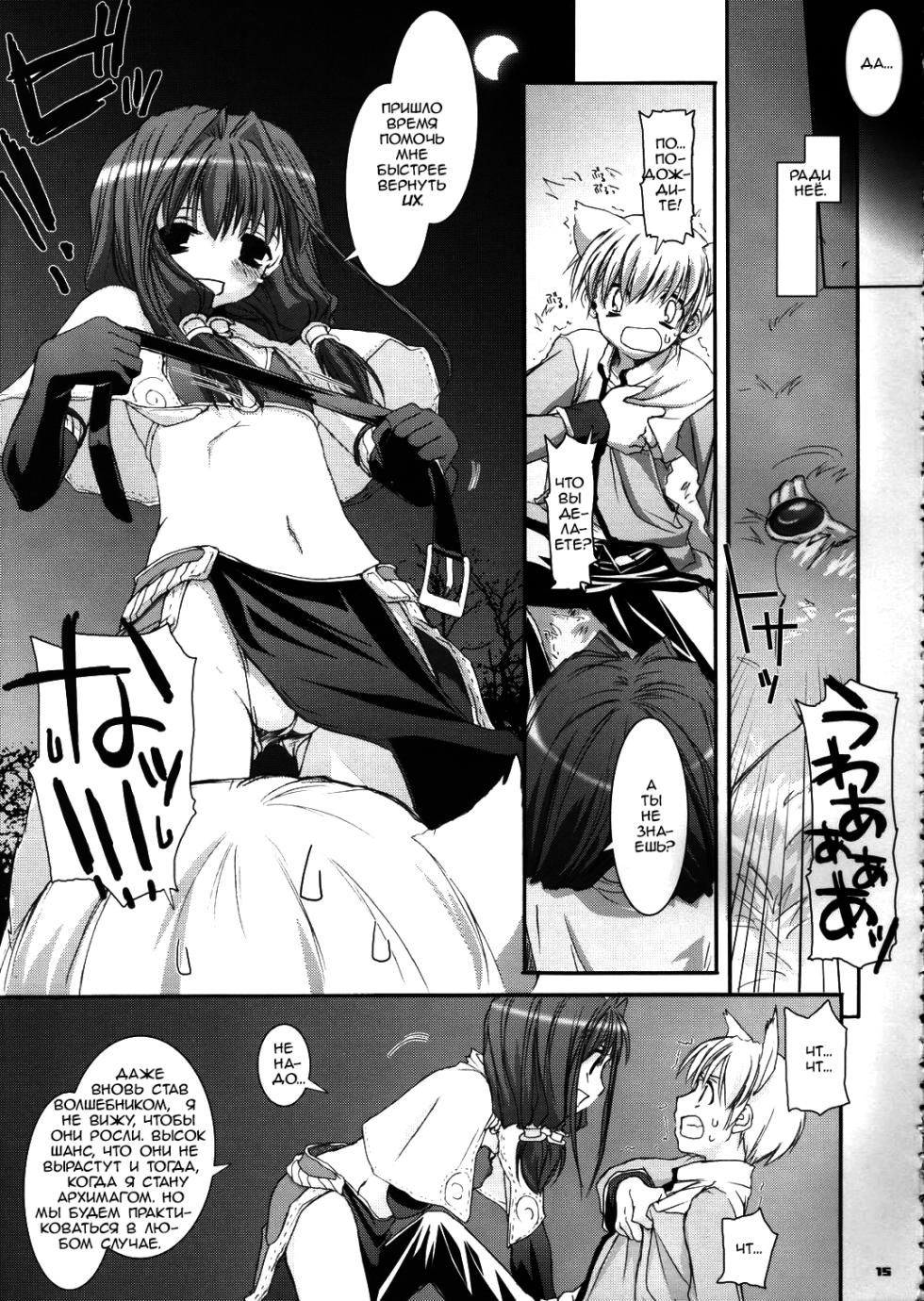 (CR37) [Digital Lover (Nakajima Yuka)] D.L. Action 29 (Ragnarok Online) [Russian] [dozer] - Page 15