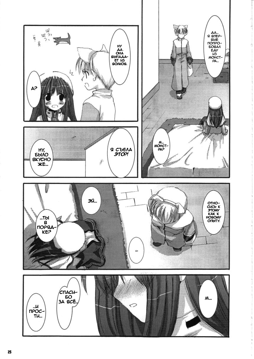 (C63) [Digital Lover (Nakajima Yuka)] D.L.action 16 (Ragnarok Online) [Russian] [dozer] - Page 25