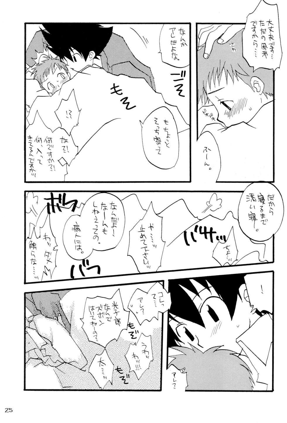 (C61) [LOVE×HATE (Iori)] H.D.I.C. (Digimon) - Page 27