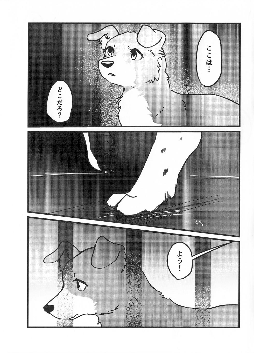 (Shinshun Kemoket 10) [Kon Juuichibai (Momou)] DOG.IN.CAGE The best in corn - Page 2