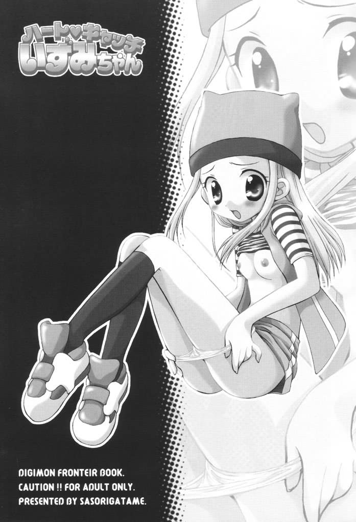 (SC16) [Houkago Paradise (Sasorigatame)] Heart Catch Izumi-chan (Digimon Frontier) - Page 2