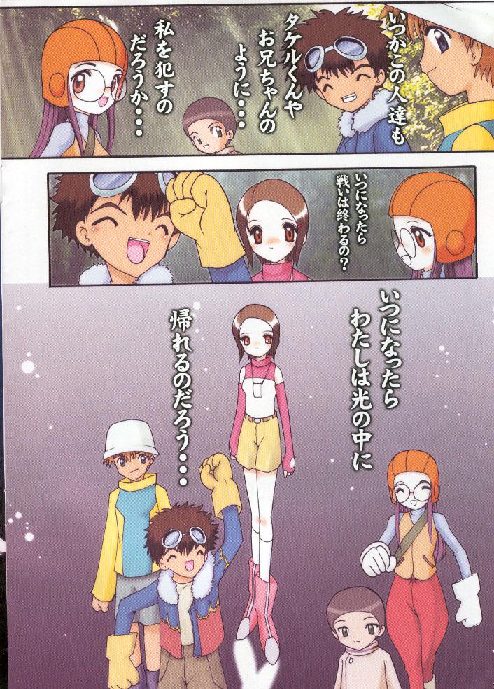 (C59) [Minor’s Escort (Kazasuzu)] Hikari-chan To Issho (Digimon Adventure 02) - Page 10