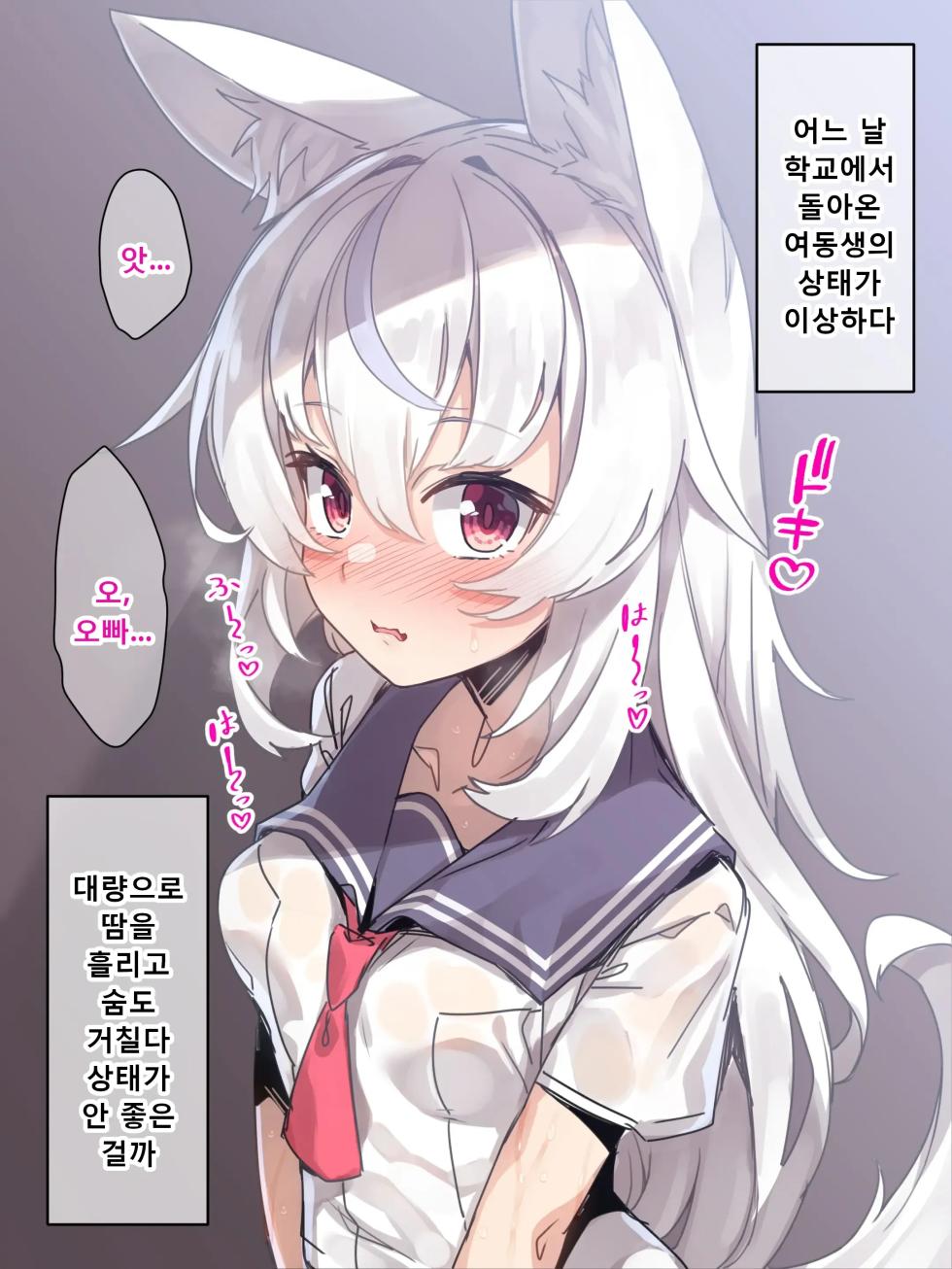 [Lyricbox (Racer)] Kemomimi Imouto no Hatsujouki o Osewa suru no wa Ani to shite Touzen da yo ne. | 케모미미 여동생의 발정기를 책임지는 건 오빠로서 당연하잖아 [Korean] - Page 4