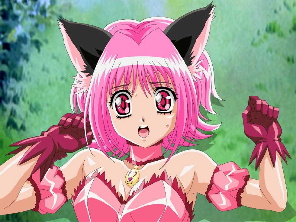 [Mirin (Umino Yayoi)] Strawberry Nyan Nyan (Tokyo Mew Mew) - Page 6