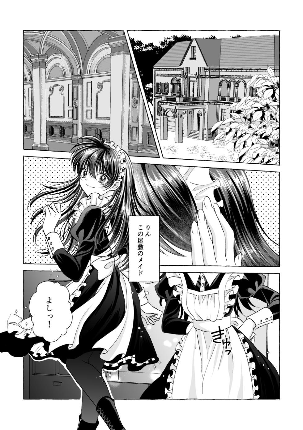 [Hoshi Furu Yoru ni (Yuki Usa)] Iron na Anata to Koi o Suru (Inuyasha) [Digital] - Page 3