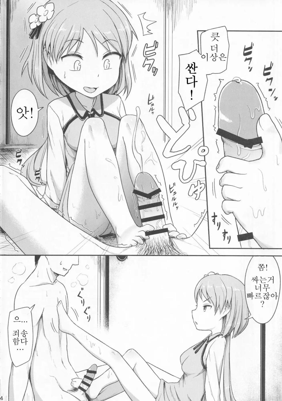 (Reitaisai 14) [PLANTERIUM (Hayake)] ENSEMBLE! (Touhou Project) [Korean] - Page 3