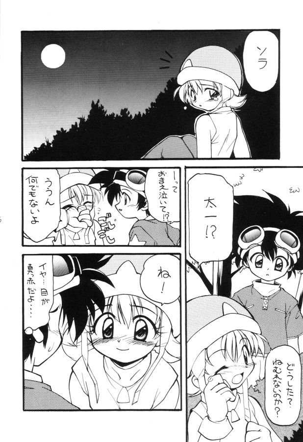 (C57) [Milky Way (Hoshikawa Kirara)] MILKYWAY (Digimon Adventure) - Page 5