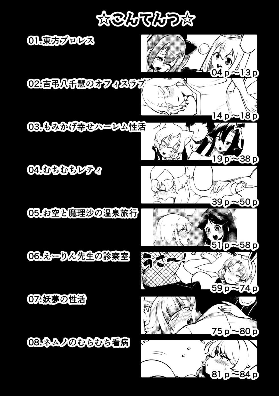 [Shoujo Rakugakichuu (Himajin no Izu)] skeb na Gensou Shoujo Shuu 7 (Touhou Project) [Digital] - Page 4