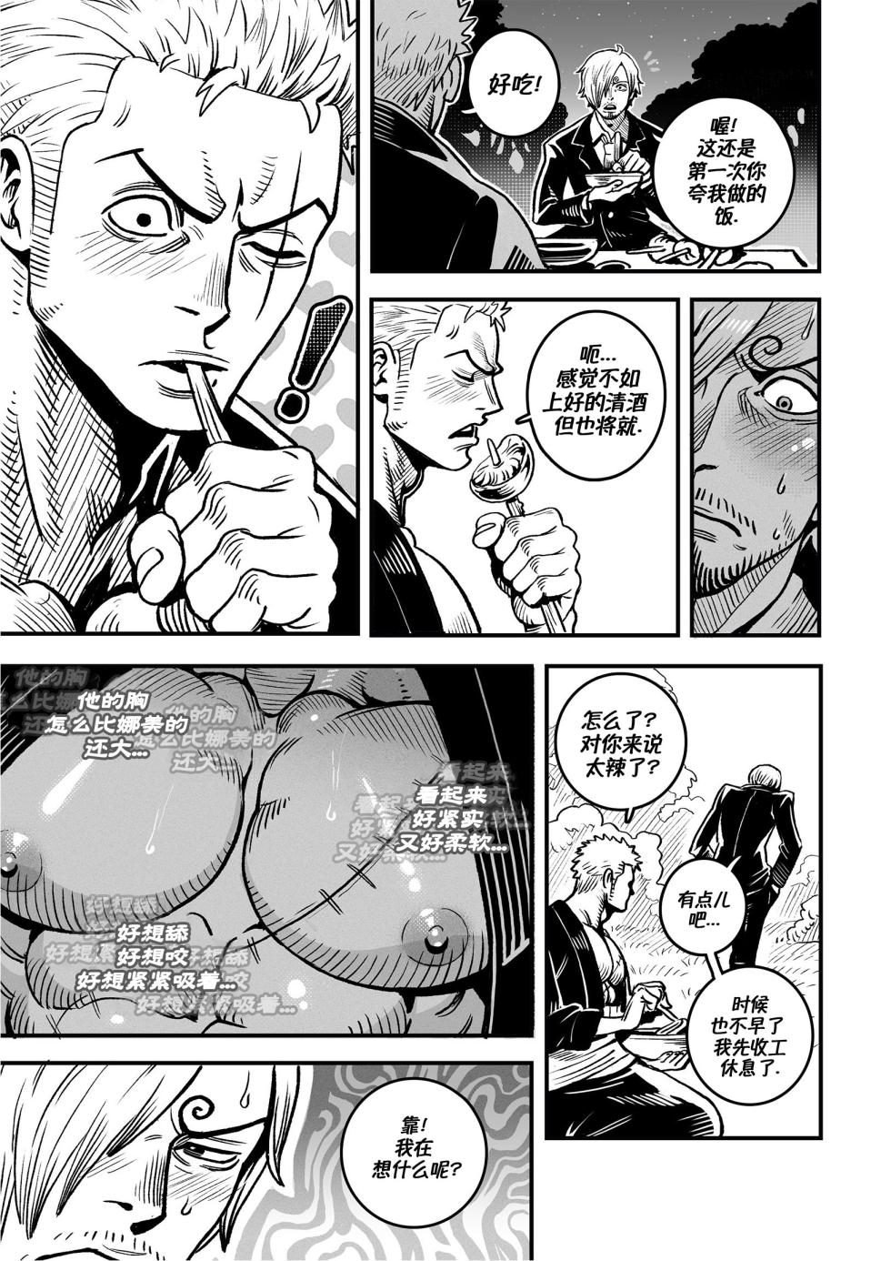 [Redgart]Passion Fruit(ONE PIECE) | 情热果实(海贼王 同人) [Chinese] [马栏山汉化组&桃紫の汉化] - Page 12