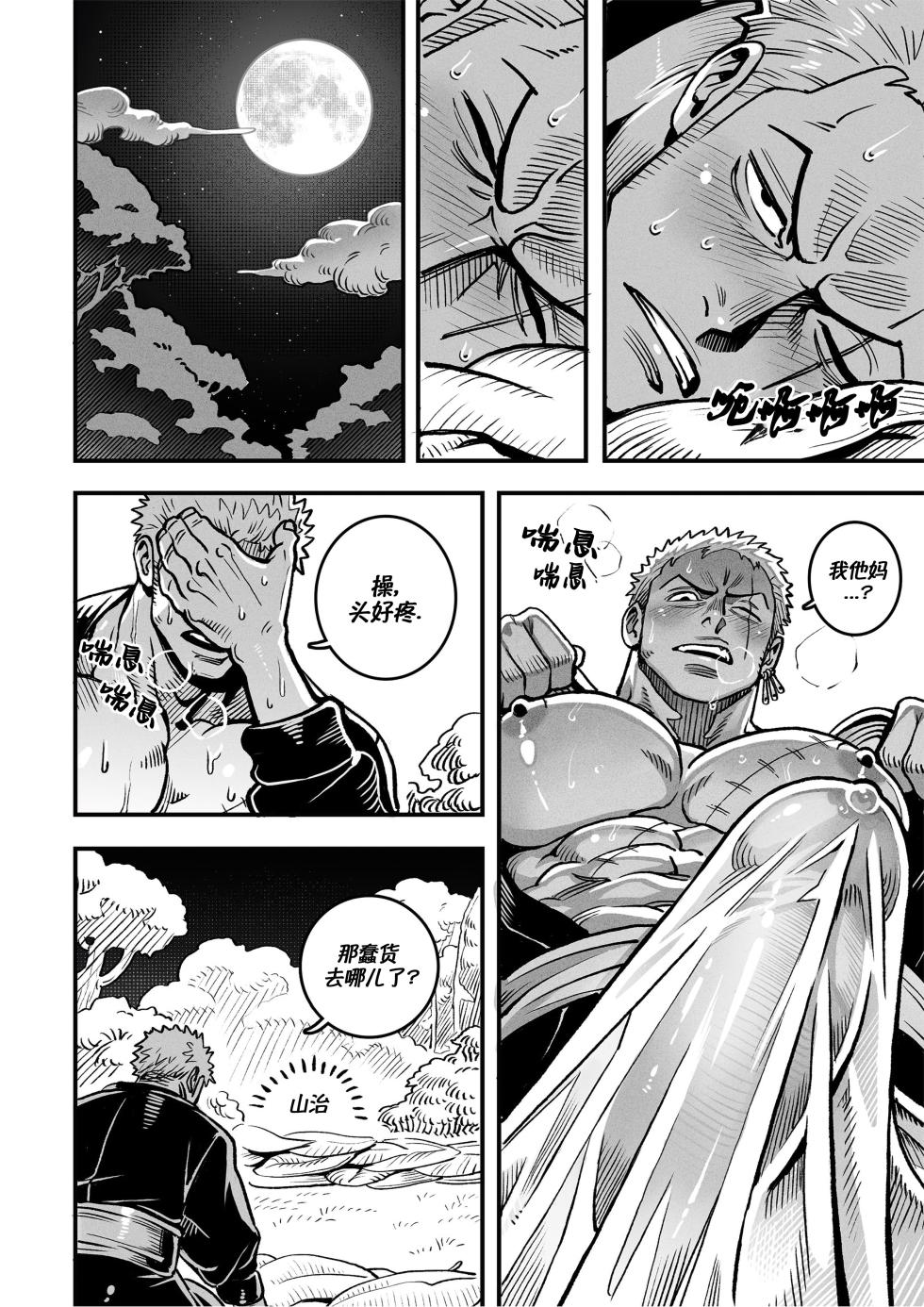 [Redgart]Passion Fruit(ONE PIECE) | 情热果实(海贼王 同人) [Chinese] [马栏山汉化组&桃紫の汉化] - Page 13