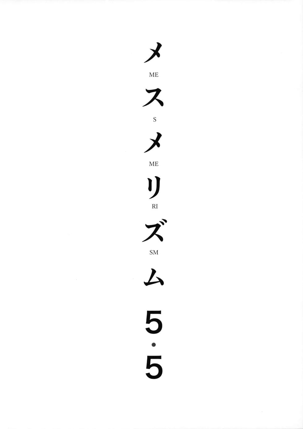 メスメリズム 5.5 - Page 4