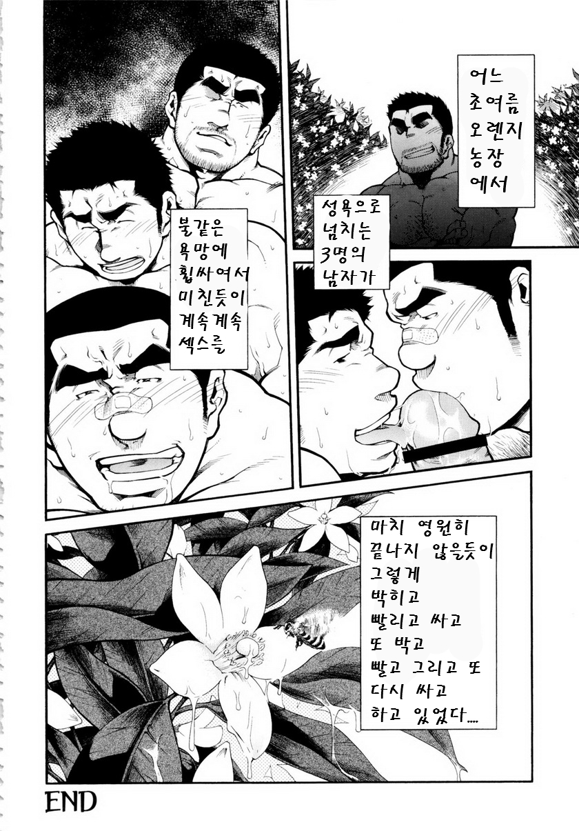 [Terujirou] Osu Hachi no Mitsu | 양봉장에서 일어난 일 (G-men No.188 2011-11) [Korean] - Page 24
