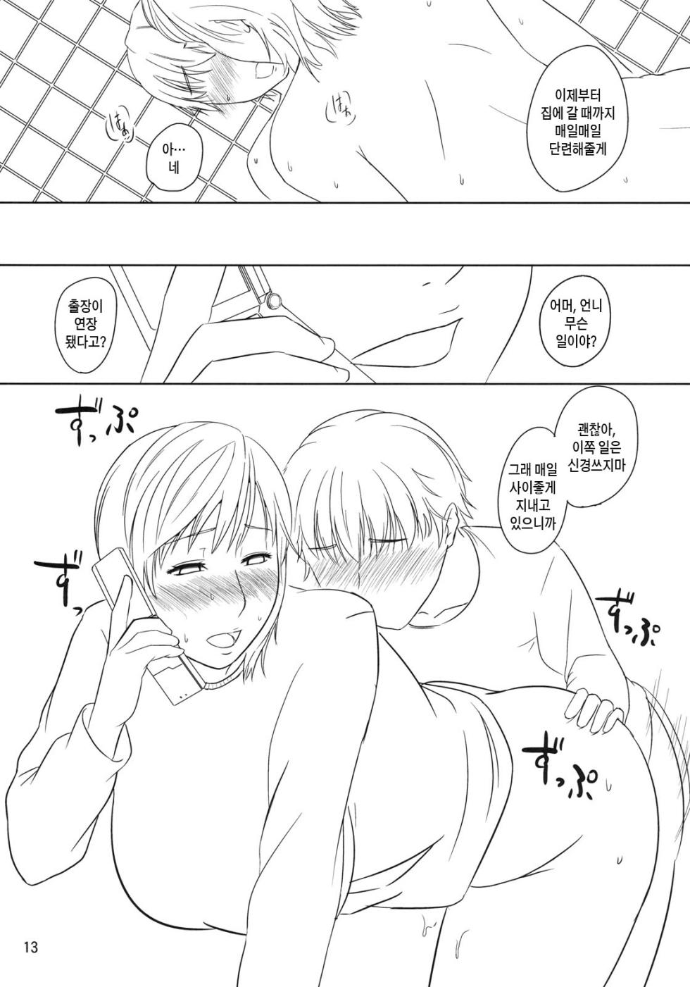 (C79) [Tenguren (Nario)] Boketsu o Horu 2010 Fuyu | 모혈을 파다 2010 겨울 [Korean] [팀 숙녀] - Page 12