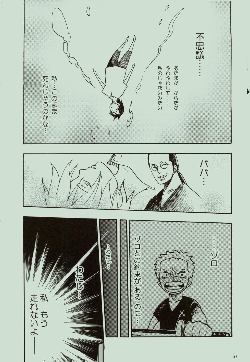 (C75) [fractalbi:z (Makita Tamaki)] Kaze yo Unare Michi o Sase (One Piece) - Page 28