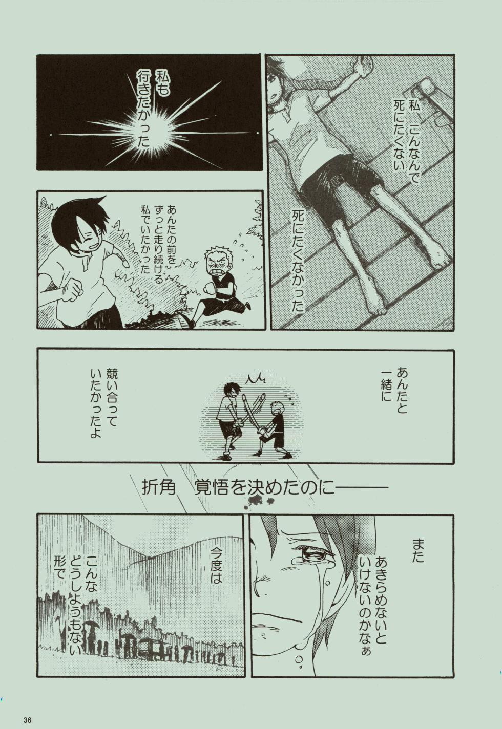 (C75) [fractalbi:z (Makita Tamaki)] Kaze yo Unare Michi o Sase (One Piece) - Page 37