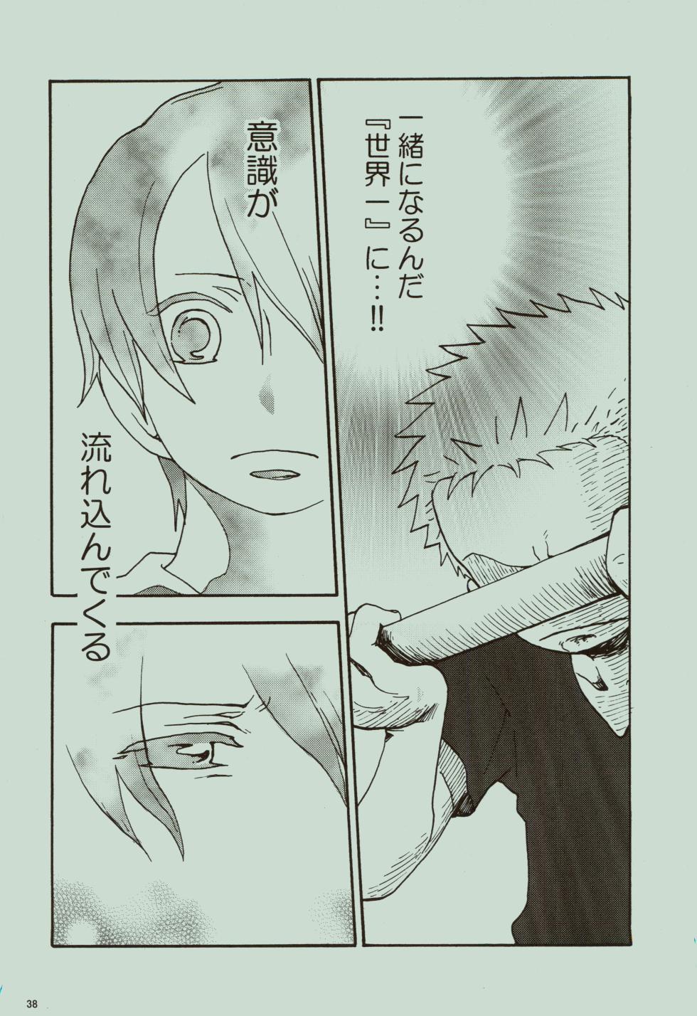 (C75) [fractalbi:z (Makita Tamaki)] Kaze yo Unare Michi o Sase (One Piece) - Page 39