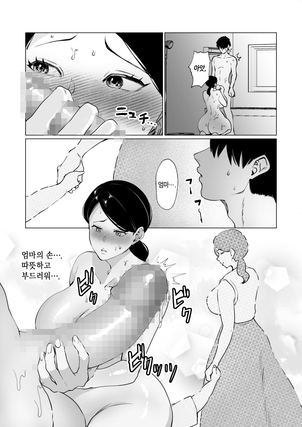 [Maria Planet (Katano Chika)] Seiwayaki Kaa-san ni Doutei made Sewa Shitemoraimasu. [Korean] - Page 17