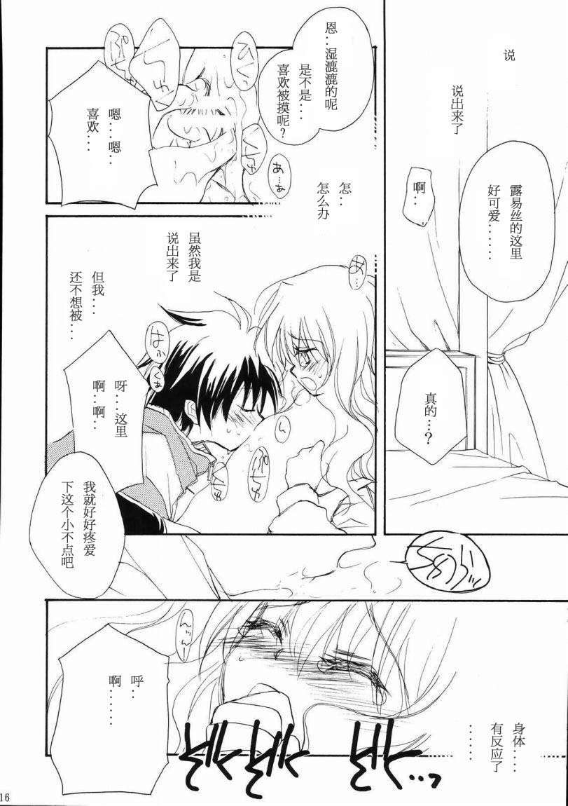 (C71) [Jyaraya (Morishima Petit)] Suki tte Itte tte Itte! (Zero no Tsukaima) [Chinese] [绯色汉化组] [Incomplete] - Page 15