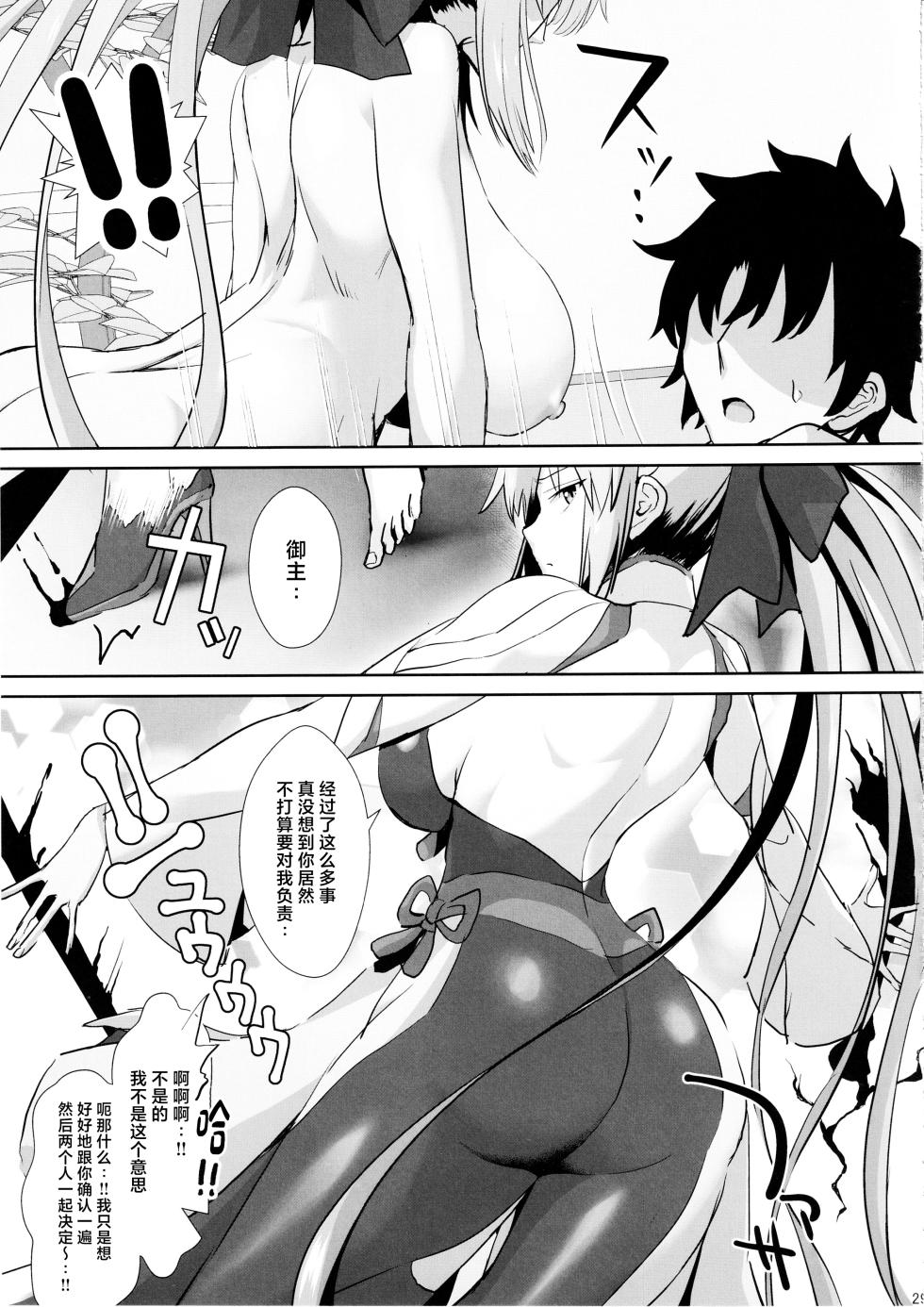 (C104) [Deastim (Unadon)] Otto wa Dare ni mo Watashimasen (Fate/Grand Order) [Chinese] - Page 28
