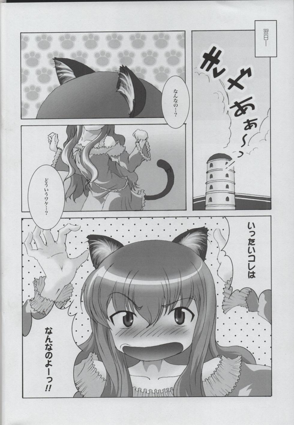 (CT10) [3-MEGA.ne (Yanagi Yuushi, Ayato)] Zero no Tsukaima Gaiden Tabitha no Chou Bouken (Zero no Tsukaima) - Page 5