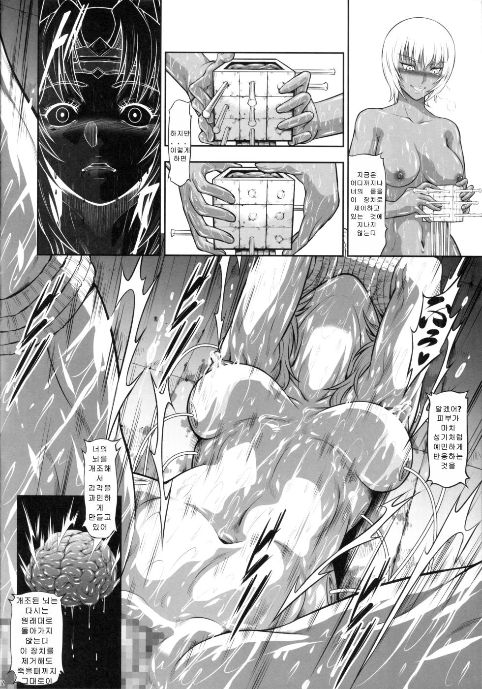 (C103) [Yokohama Junky (Makari Tohru)] Solo Hunter no Seitai WORLD 10 | 솔로 헌터의 생태 10 (Monster Hunter) [Korean] - Page 11