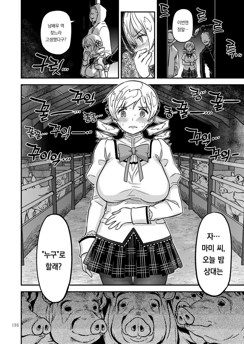 [GADGET (A-10)] Kongan Tanetsuke Koushuu Benjo (Puella Magi Madoka Magica) [Korean] [incomplete] - Page 17