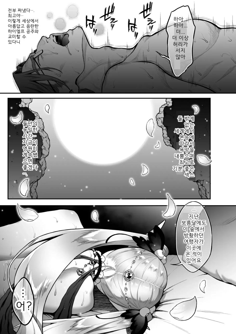 [H.B.A (Usagi Nagomu)] Yuukyuu No Shou Elf 5 Mugen Kouhen | 유구의 창엘프5 「몽환」 후편 [Korean] [Decensored] [Digital] - Page 20