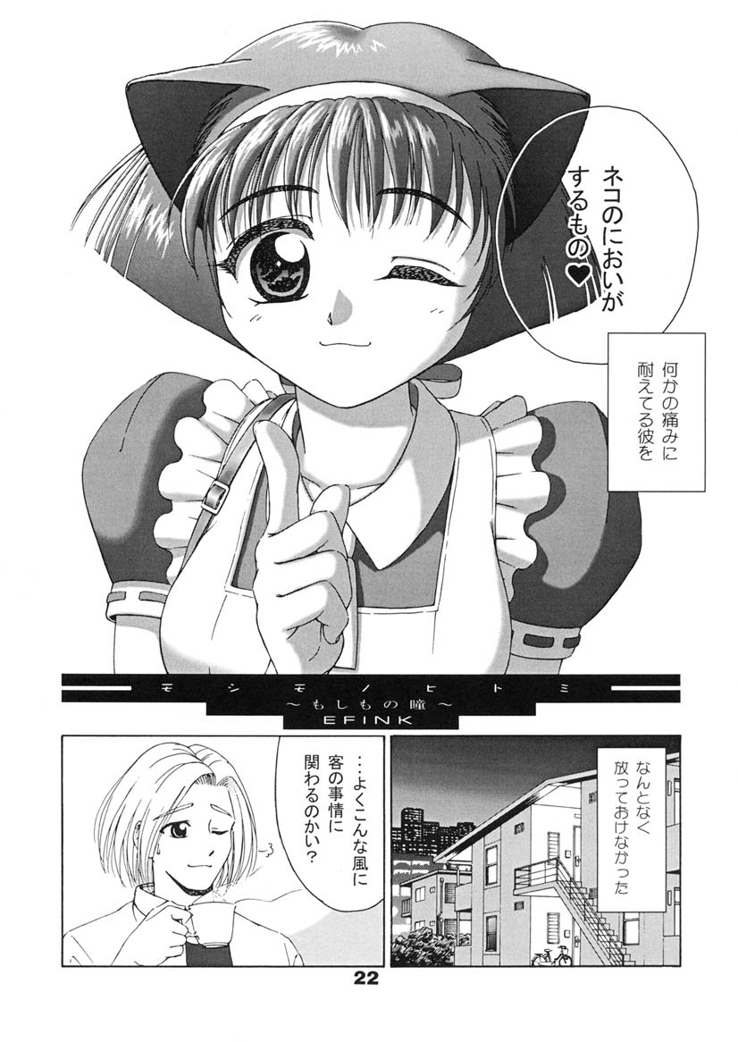 [Tenny Le Tai] Sekai de Ichiban Neko Maid - Page 21