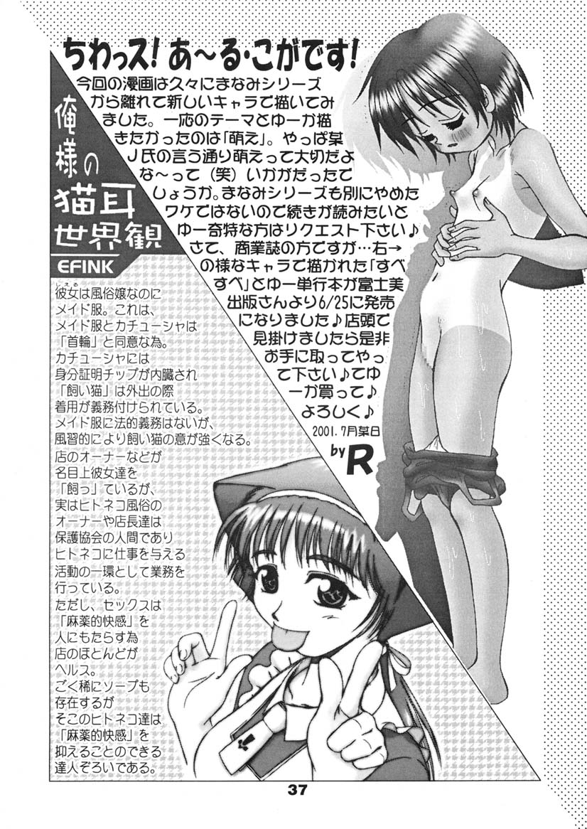 [Tenny Le Tai] Sekai de Ichiban Neko Maid - Page 36