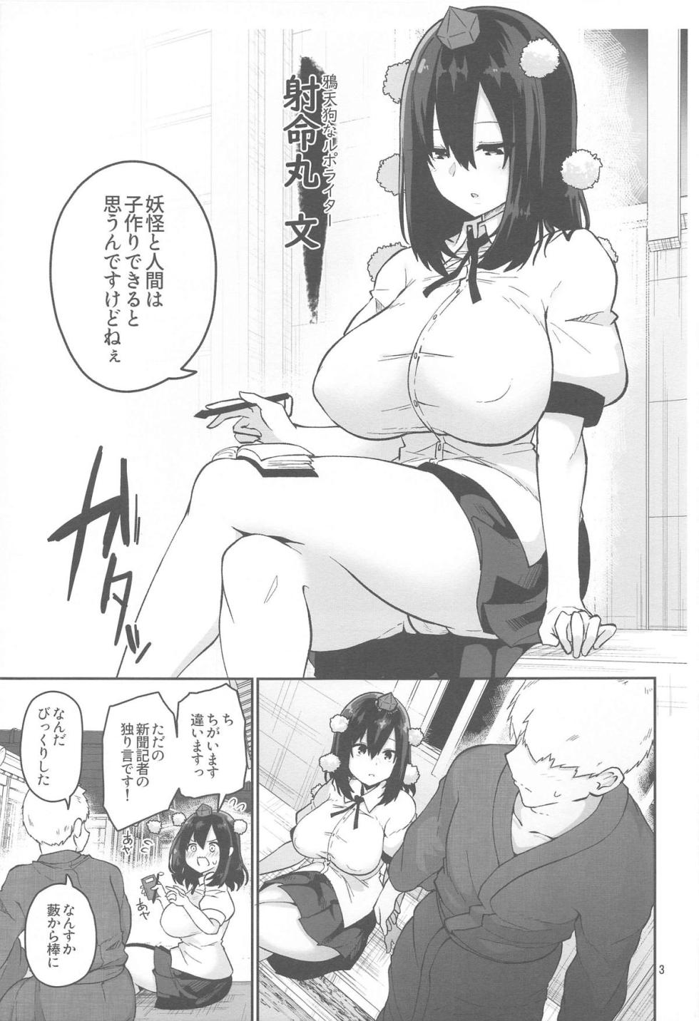 (C104) [Komamesugata (Akure Ekuto)]  Youkai to Ningen wa Kozukuri Dekiru no ka? Shirabete Mimashita! (Touhou Project) - Page 4