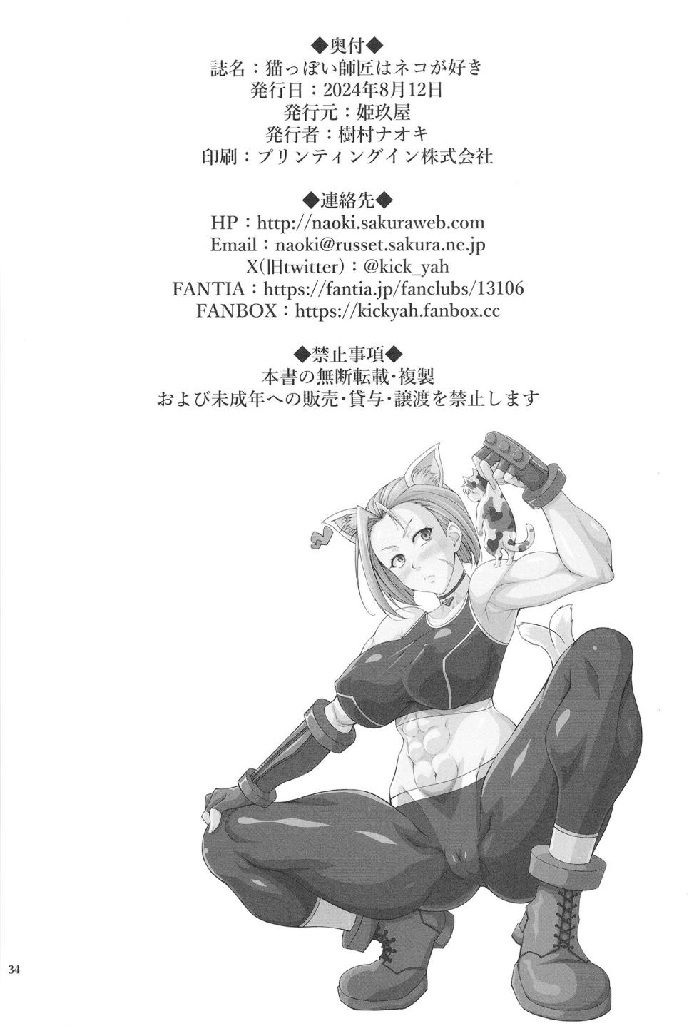 [Kikuya (Kimura Naoki)] Nekoppoi Shishou wa Neko ga Suki - A Master like a cat loves kitty (Street Fighter) [Digital] - Page 34