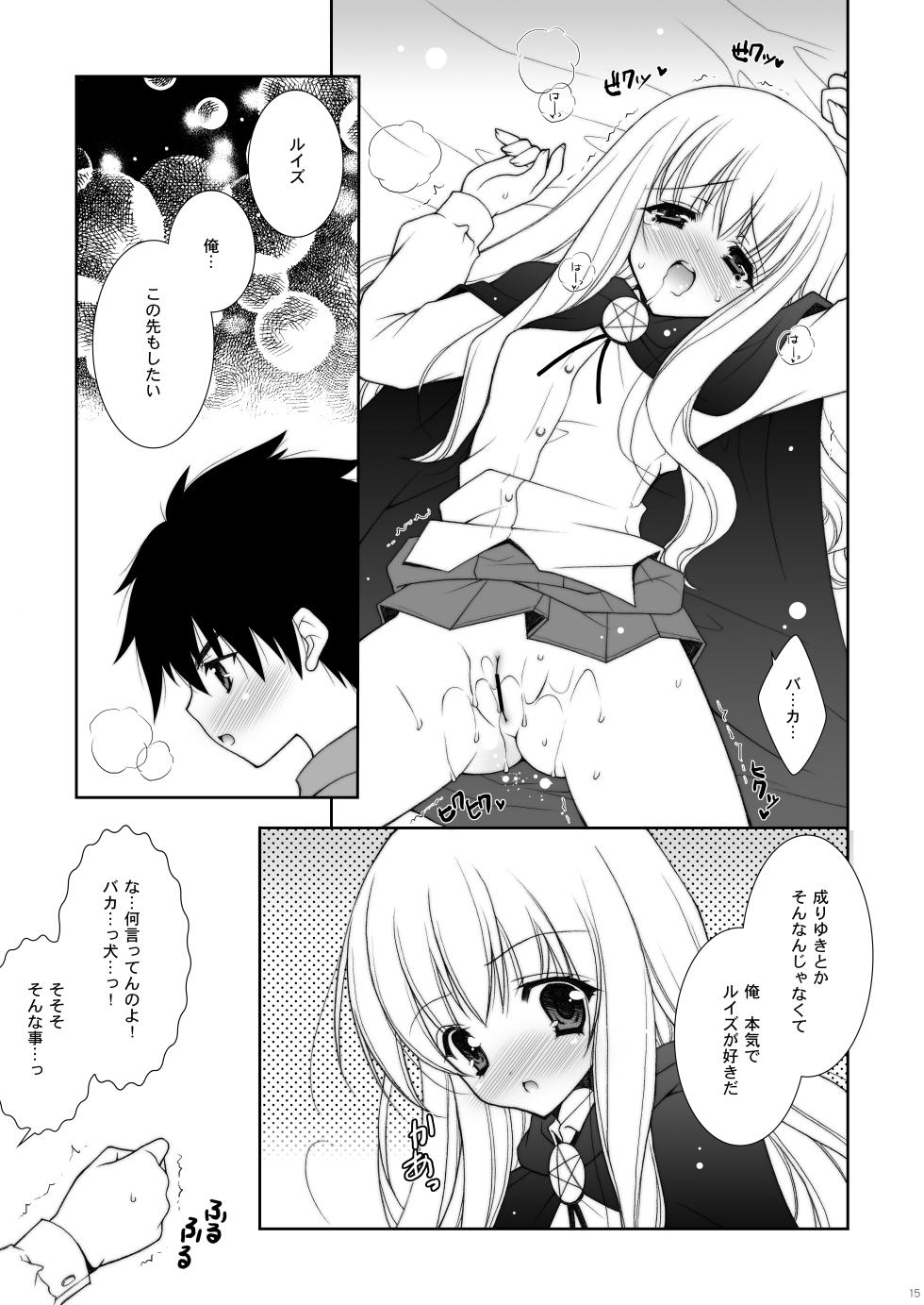 [Shigunyan] Zero no Tsukaima Soushuuhen (Zero no Tsukaima) [Digital] - Page 15