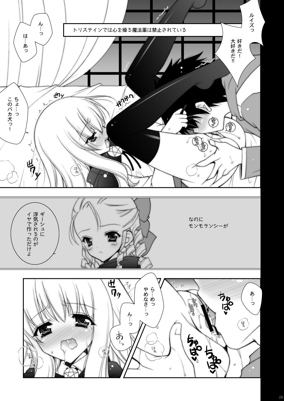 [Shigunyan] Zero no Tsukaima Soushuuhen (Zero no Tsukaima) [Digital] - Page 29