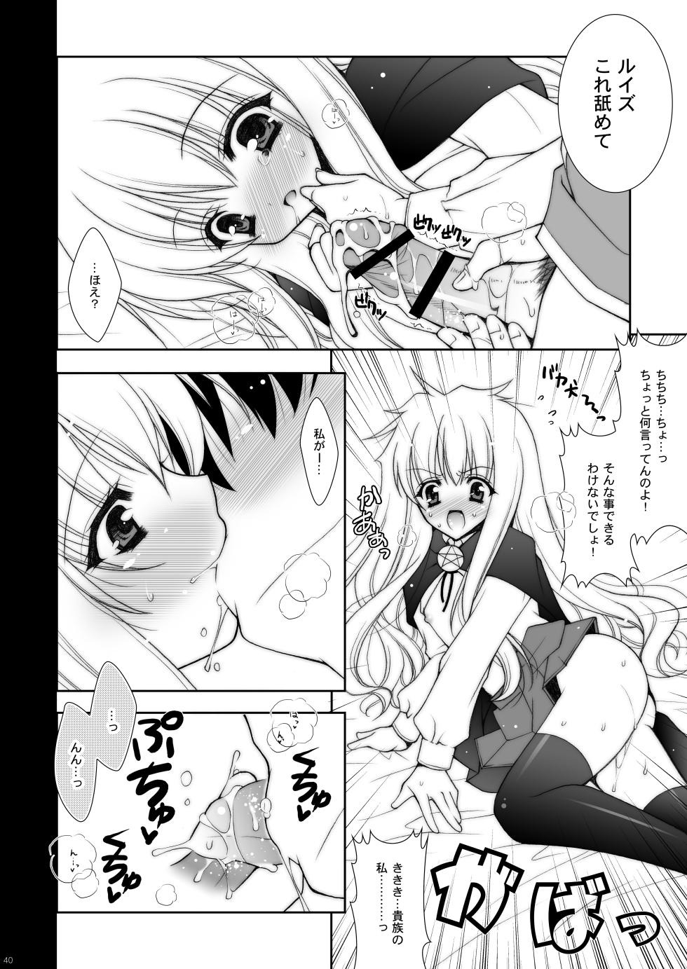 [Shigunyan] Zero no Tsukaima Soushuuhen (Zero no Tsukaima) [Digital] - Page 40