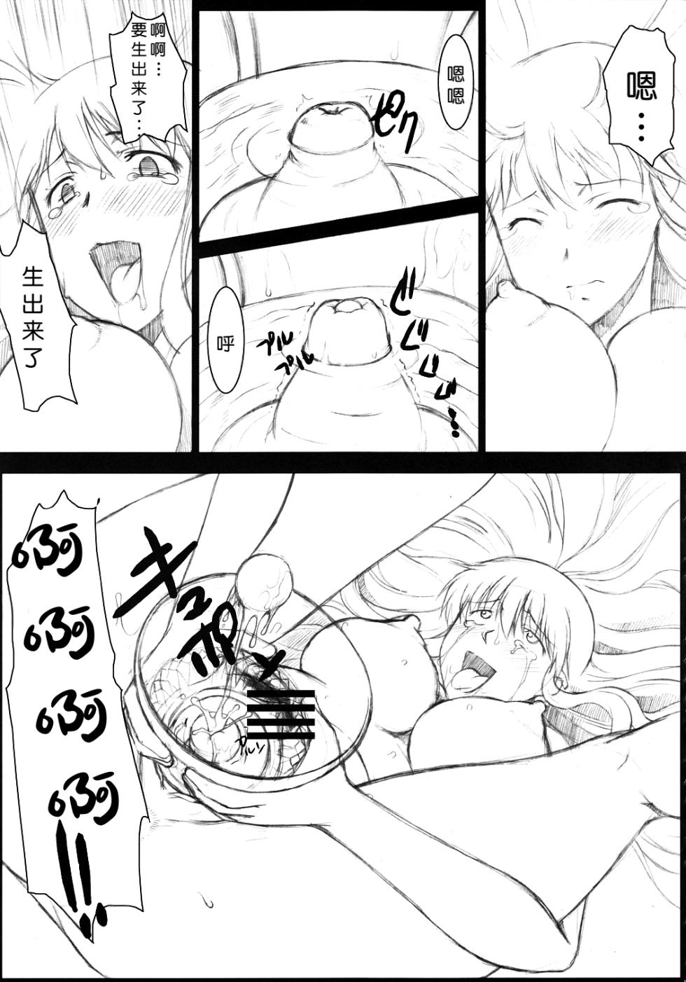 (C78) [Hooliganism (Various)] RECORD OF ALDELAYD ExhibitionDX9 [Chinese] [机翻] - Page 15