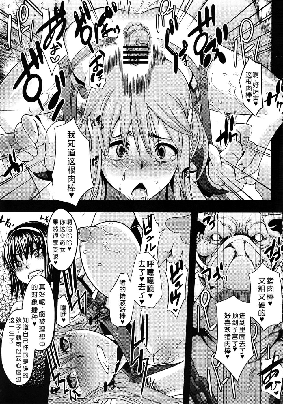 (C78) [Hooliganism (Various)] RECORD OF ALDELAYD ExhibitionDX9 [Chinese] [机翻] - Page 31
