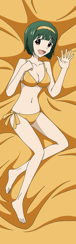 [Atelier GONS] Idolmaster na Dakimakura: A SIDE (THE IDOLM@STER) - Page 14