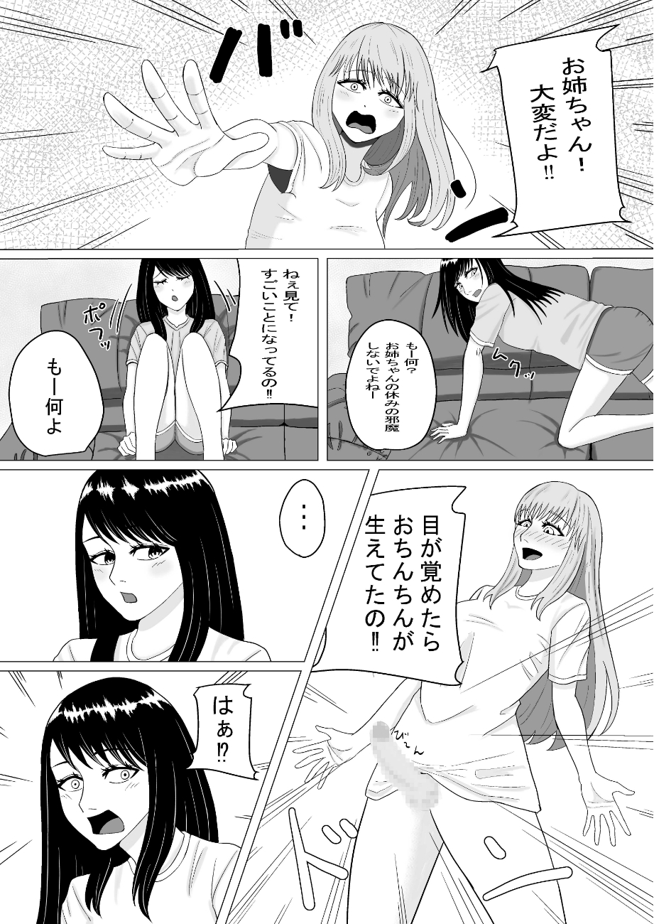 おちんちんの生えた妹と始まる話 - Page 2